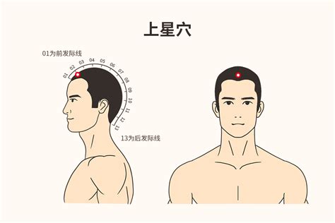 天頂星座查詢 上星穴